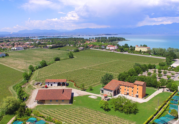 degustazione vini lago di garda