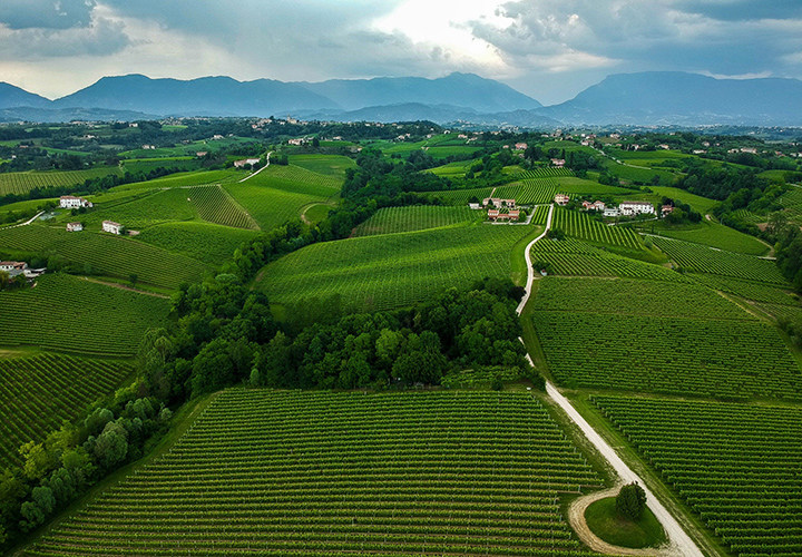 degustazione prosecco conegliano valdobbiadene. Migliori cantine valdobbiadene